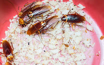TruNorth Pest Control LLC