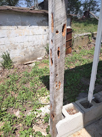 Butler's Pest Solutions