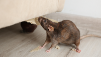 Foundation Pest Control