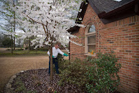Mosquito Joe of East Memphis-Jackson