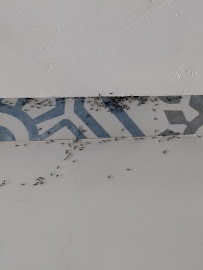 TruNorth Pest Control