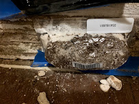 Sandhoff Services Pest and Termite