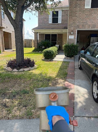 Termio Pest Control - Houston