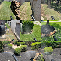 Termio Pest Control - Houston