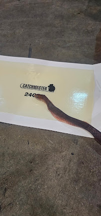 H-Town Home Services