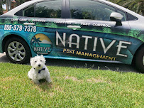 Pest Animal Removal Miami