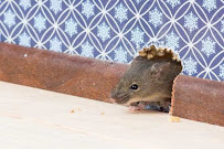 Elite Pests Control LLC