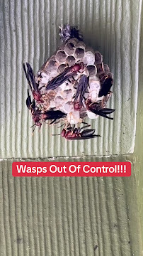 Smart Solutions Pest Control