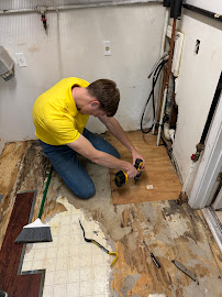 Corsello & Sons Pest Control