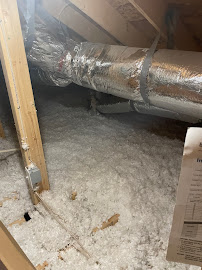 Wildlife Control Specialist of Atlanta