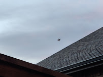 SafeHaven Pest Control