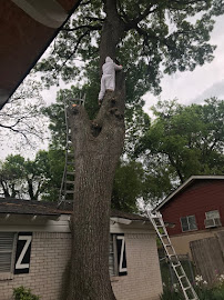 Critter Control Dallas Ft Worth