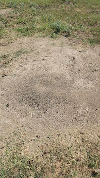 WING 8 Pest Services