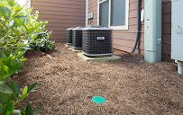 Romney Pest Control - Lewisville