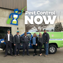 Pest Control Now