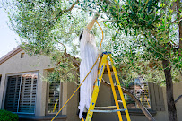 Complete Pest Management