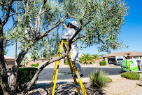 Complete Pest Management