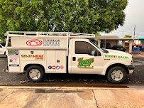 Youngs Pest & Termite