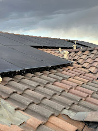 TNT Pest Control Northern New Mexico