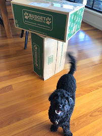 Budget Pet Products