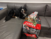 PetPost Australia