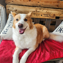Petway Petcare