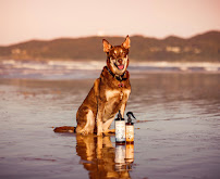 Byron Bay Dog Products Pty Ltd - Pet Care & Nutrition