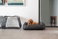 Superior Pet Goods