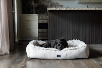 Superior Pet Goods