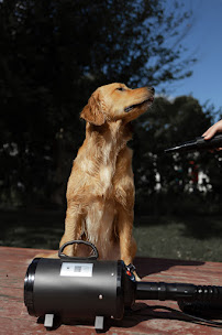 Pet Control HQ