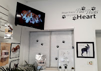 Urban Pet Food