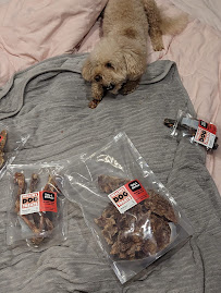 Bruce's Healthy Dog Treats