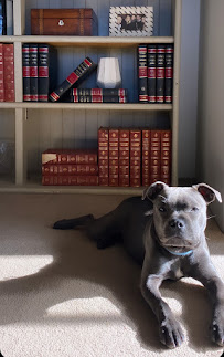 Happy Paws Pet Food Delivered to your door