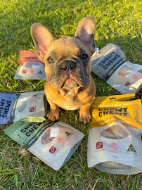 Chewy Chews - All Natural Dog Treats