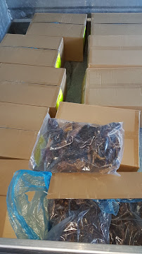 U-Chews Australia | All- Natural Pet Treat Manufacture