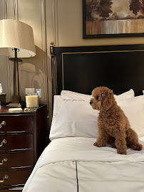 Riverside Pet Hospital