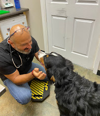 Riverside Pet Hospital