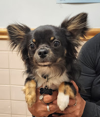 Inglewood Veterinary Clinic