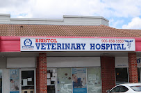 Hurontario Veterinary Hospital
