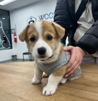 Mountainview Animal Hospital