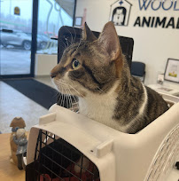Mountainview Animal Hospital