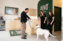 Hamilton Region Emergency Veterinary Clinic