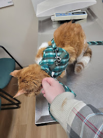 Beattie Pet Hospital - East Hamilton