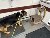 VCA Canada Kingsway Animal Hospital