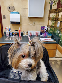 VCA Canada Kingsway Animal Hospital