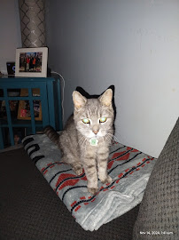 Beattie Pet Hospital - Stoney Creek