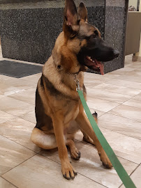 Chedoke Animal Hospital