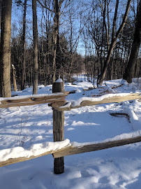 Fletcher Veterinary Hospital