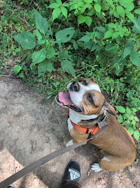 Fruitland Veterinary Hospital