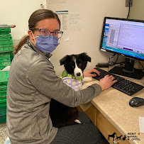Manitou Animal Hospital